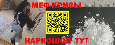 спиды Кингисепп