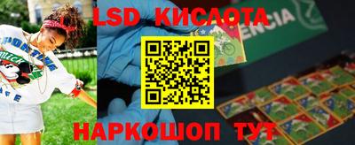 спиды Кингисепп