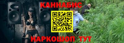 спиды Кингисепп