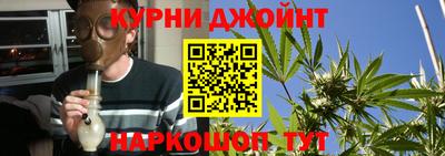 спиды Кингисепп