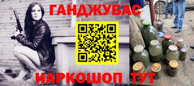спиды Кингисепп