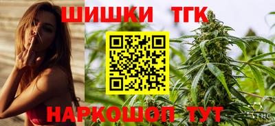 спиды Кингисепп