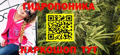 спиды Кингисепп
