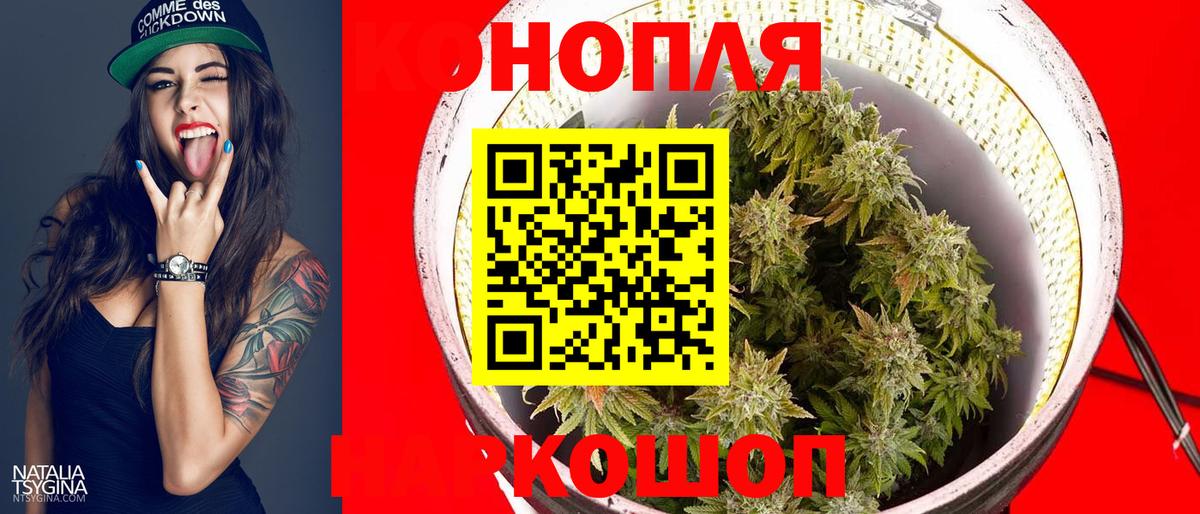 Канабис Amnesia Киселёвск
